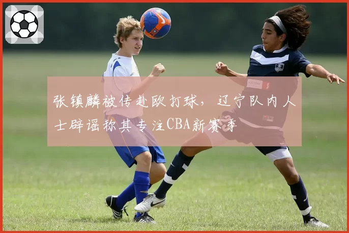 张镇麟被传赴欧打球,辽宁队内人士辟谣称其专注CBA新赛季